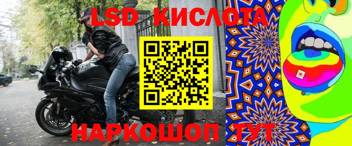 Краснознаменск  Наркотические марки 1500мкг  Вход с VPN  Наркотические марки 1500мкг 